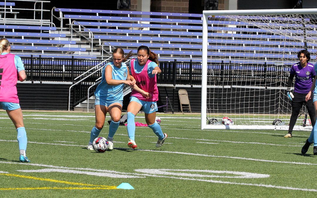 Hungry City hopeful of creating opening-day do over feast